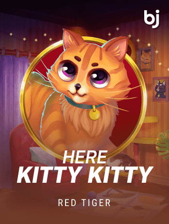 Here Kitty Kittypng